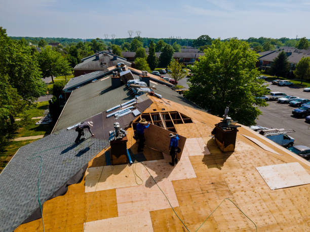 Best Metal Roofing Contractor  in New Holstein, WI
