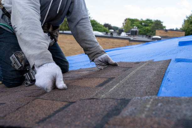 Best Roof Gutter Cleaning  in New Holstein, WI