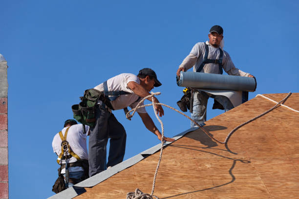 Best Roof Waterproofing Services  in New Holstein, WI